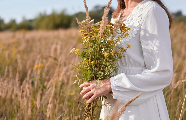 Stage herboristerie : découvrez la culture des plantes médicinales